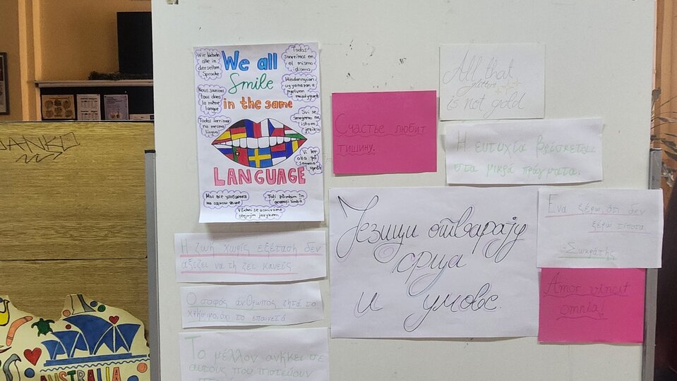IMG-8fb6c2c9ae85ca219fa0bd4c9a3762f2-V.jpg